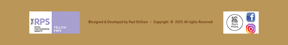 Copyright Notice