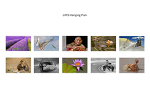 Royal Photographic Society - My LRPS Panel Submission