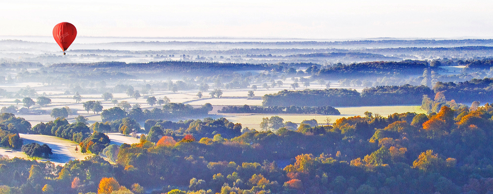 Morning Flight - Box Hill Surrey